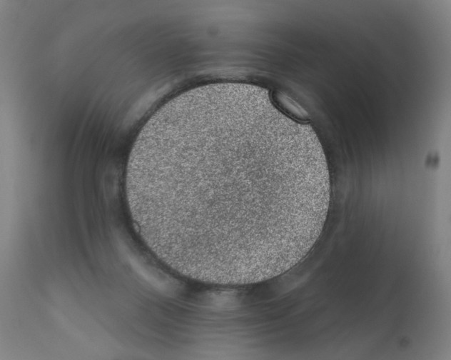 X0000110940120200907311026