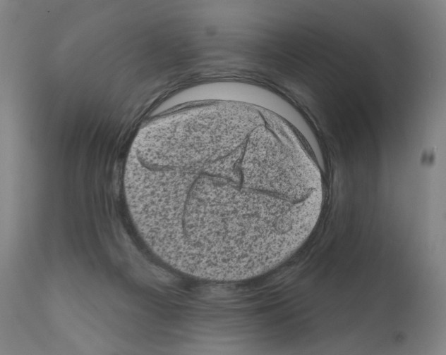 X0000110940121200907311026