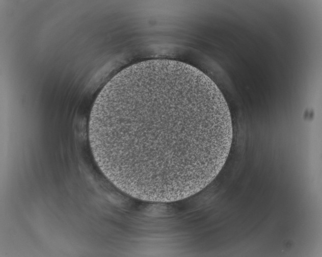X0000110940123200907311026