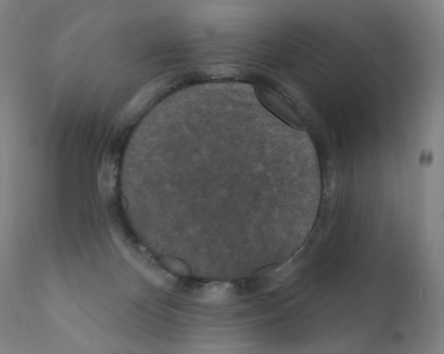 X0000110940124200907311026