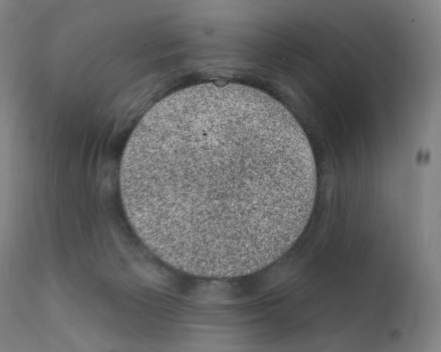 X0000110940125200907311026
