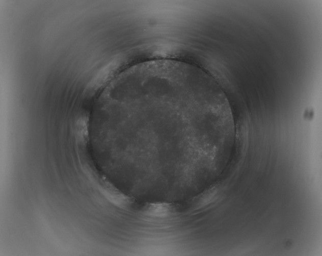 X0000110940127200907311026