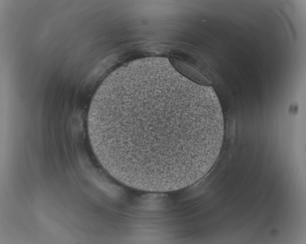 X0000110940128200907311026
