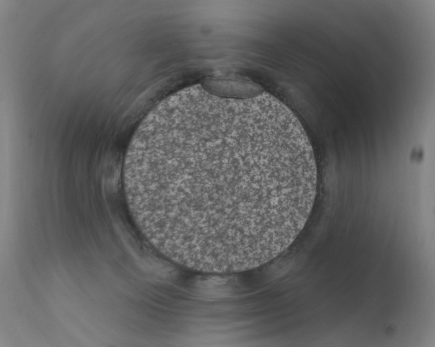 X0000110940129200907311026