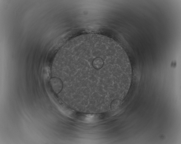 X0000110940130200907311026