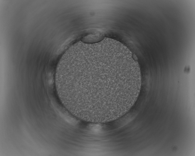 X0000110940131200907311026