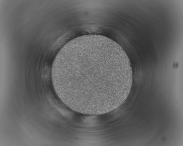 X0000110940132200907311026