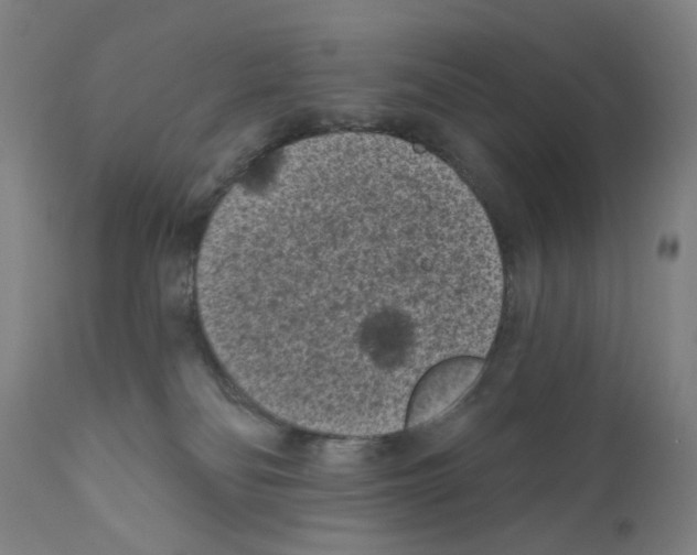 X0000110940134200907311026
