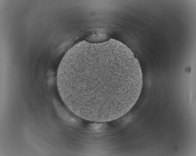 X0000110940135200907311026