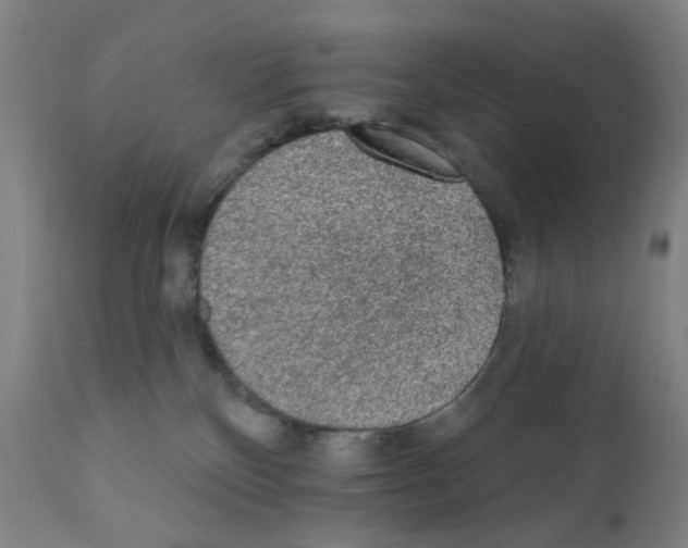 X0000110940136200907311026