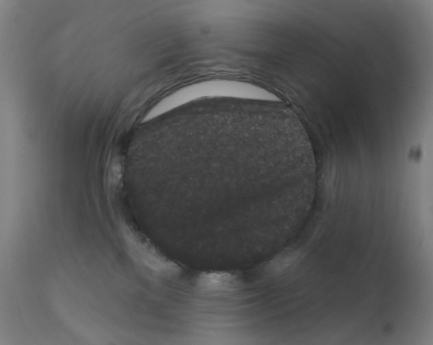 X0000110940137200907311025