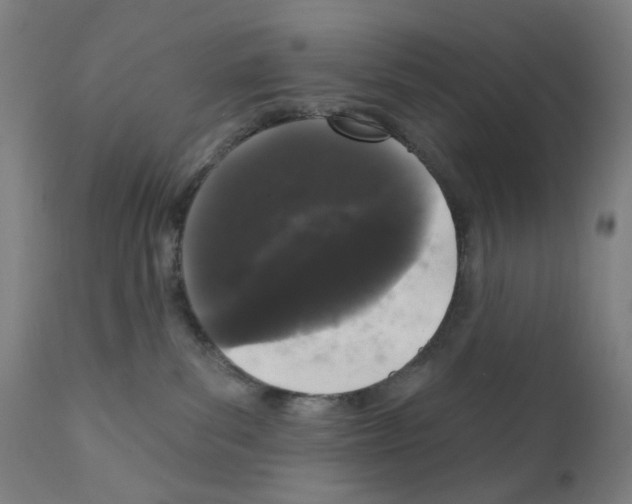 X0000110940139200907311025