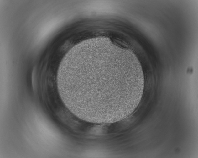 X0000110940140200907311025
