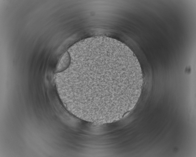 X0000110940142200907311025
