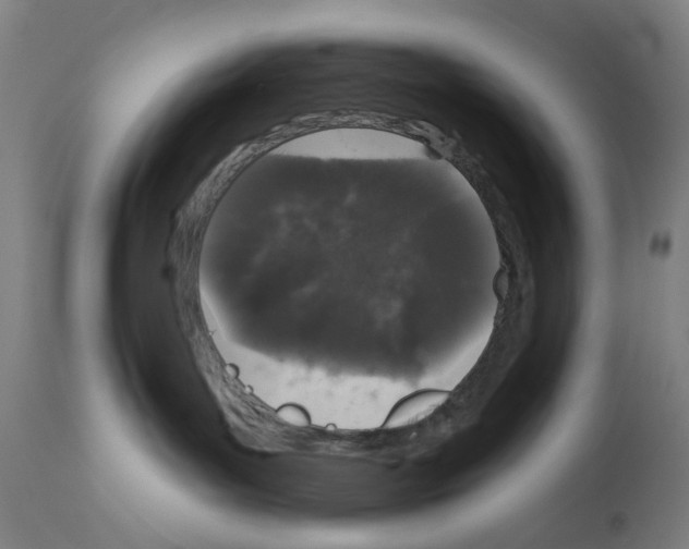 X0000110940143200907311025