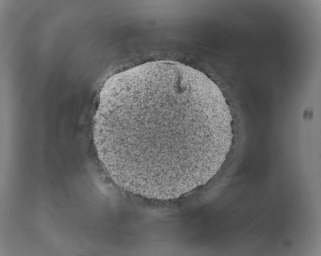 X0000110940144200907311025