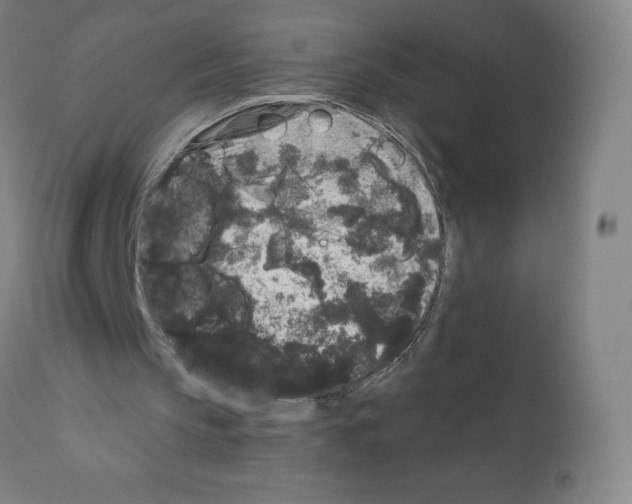 X0000110940145200907311025