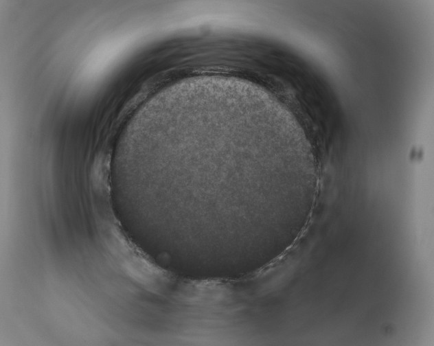 X0000110940146200907311025