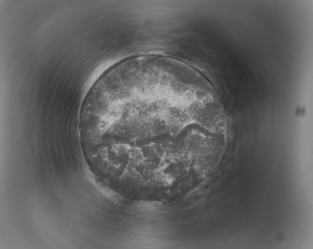 X0000110940147200907311025