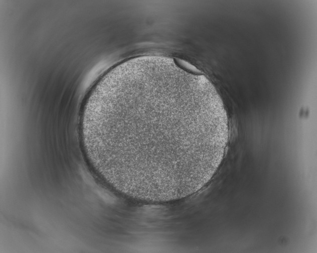 X0000110940150200907311025