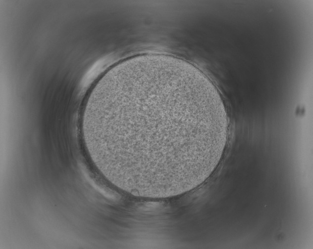 X0000110940151200907311025