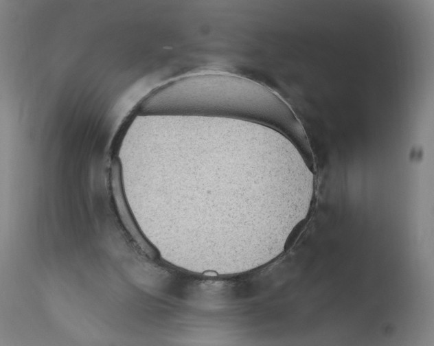 X0000110940152200907311025