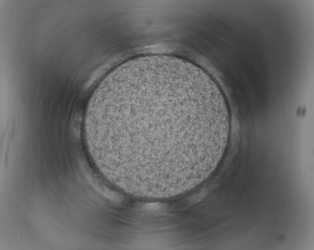 X0000110940153200907311025