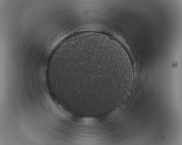 X0000110940154200907311025