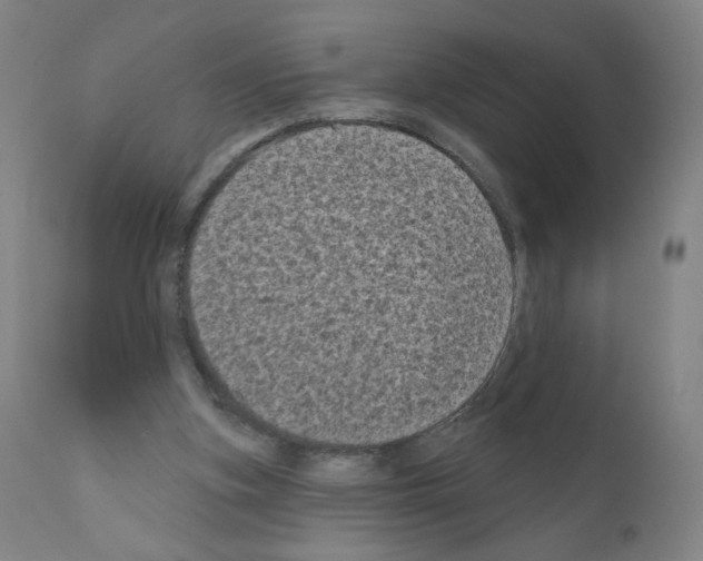 X0000110940155200907311025