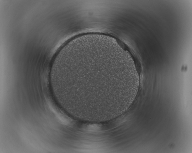 X0000110940156200907311025