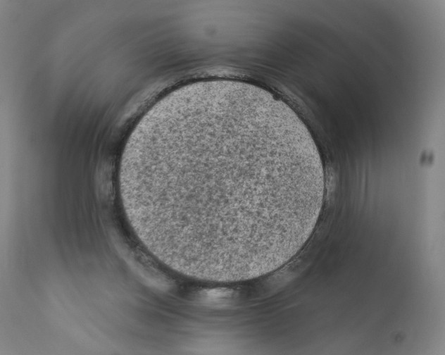 X0000110940158200907311025