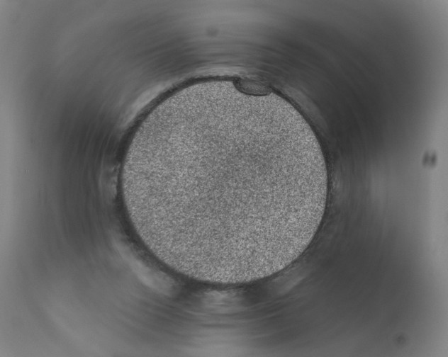 X0000110940160200907311025