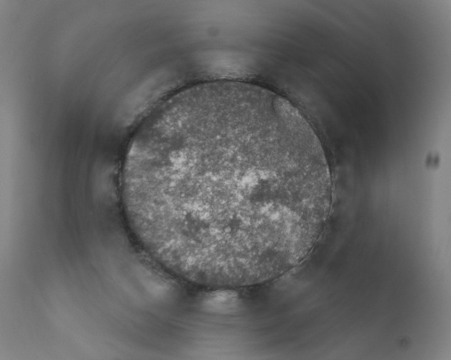 X0000110940162200907311025