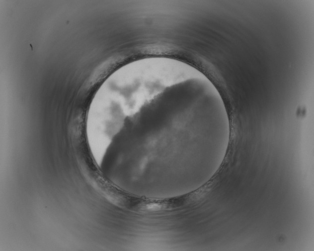 X0000110940163200907311025