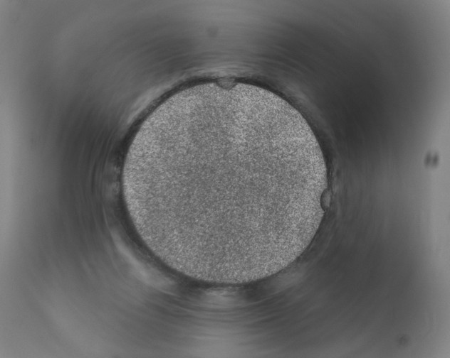 X0000110940164200907311025