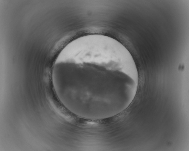 X0000110940167200907311025