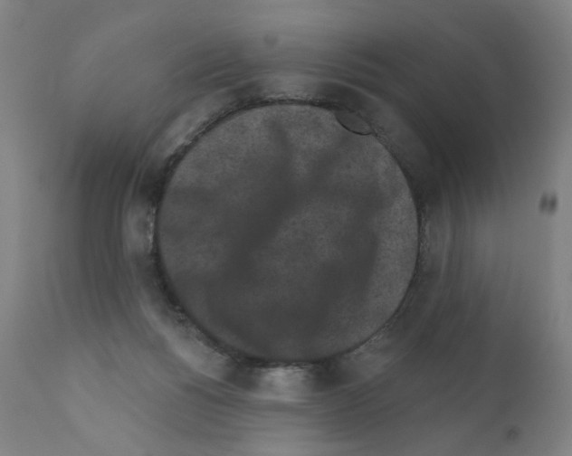 X0000110940168200907311025