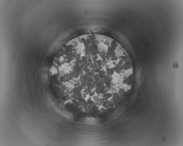 X0000110940169200907311025
