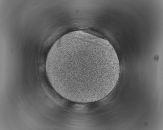 X0000110940170200907311025