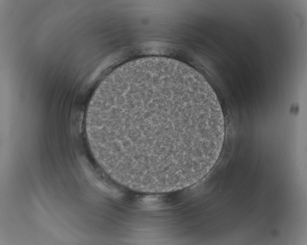 X0000110940171200907311025