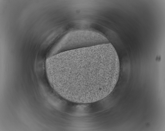 X0000110940172200907311025