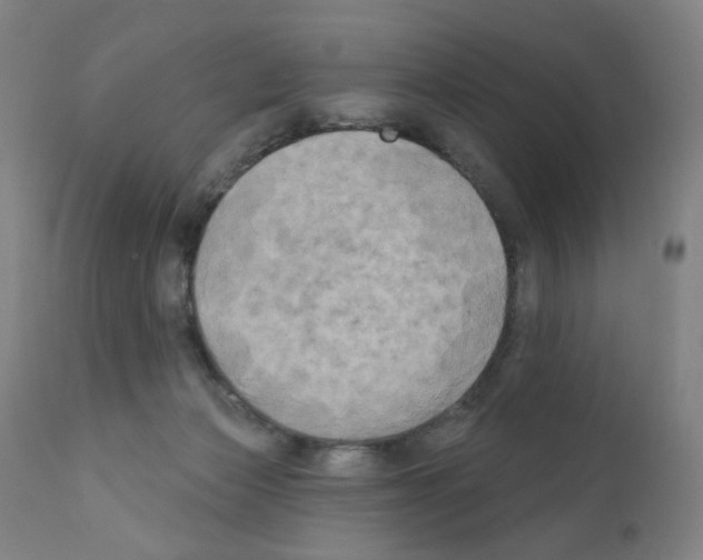 X0000110940173200907311025