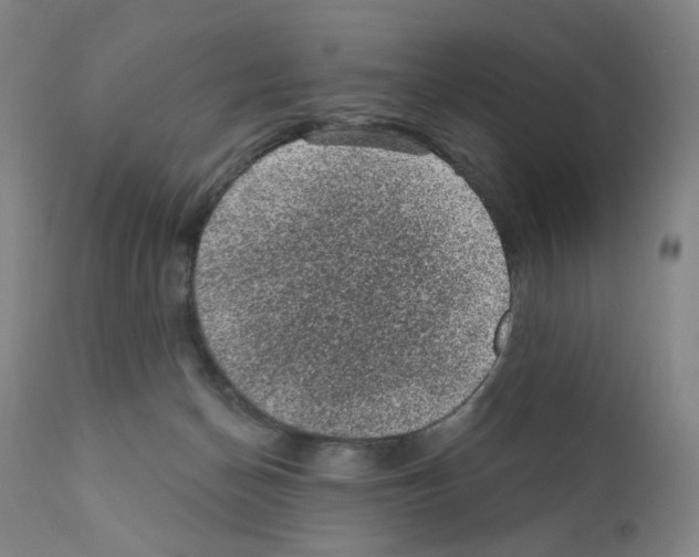 X0000110940174200907311025