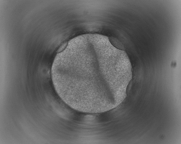 X0000110940176200907311025