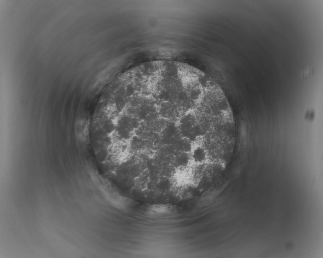 X0000110940177200907311025