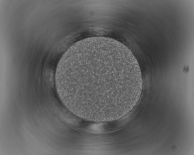 X0000110940178200907311025