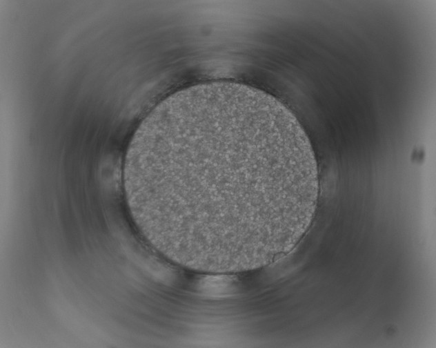 X0000110940179200907311025