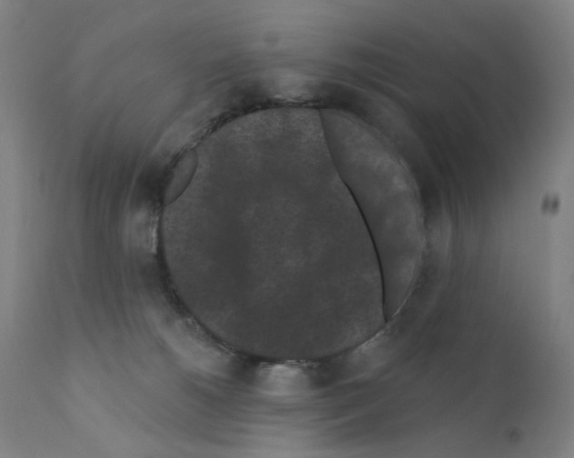 X0000110940180200907311025