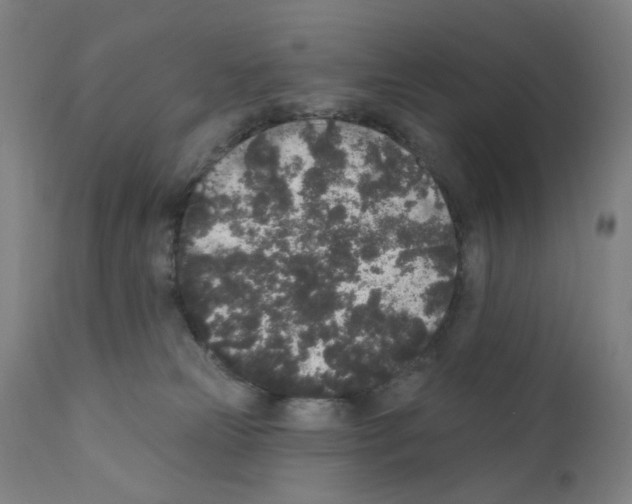 X0000110940181200907311025