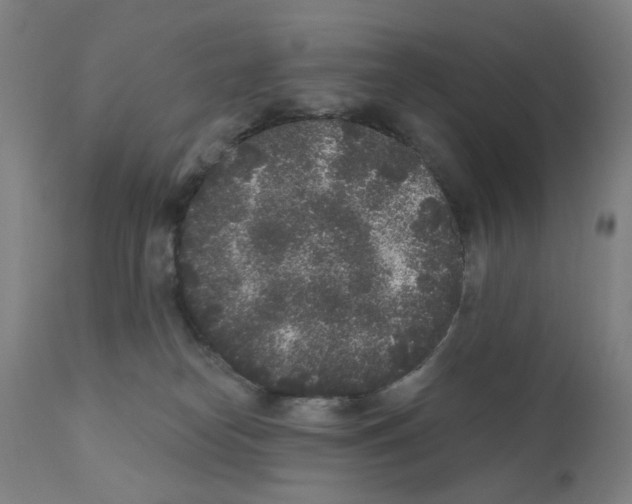 X0000110940182200907311025